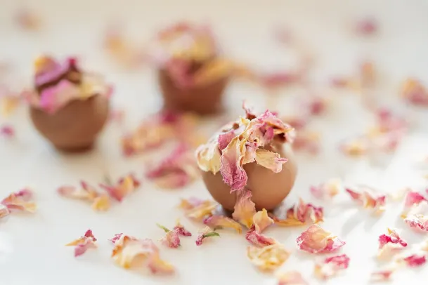 Casino Palm Slots Android/iOS aplikacija